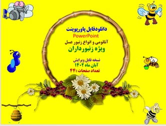 پاورپوینت کامل آناتومی و انواع زنبور عسل ویژه زنبورداران