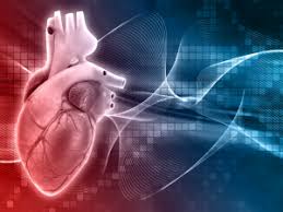 پاورپوینت سمپاتیک و پاراسمپاتیک (ppt) 20 اسلاید